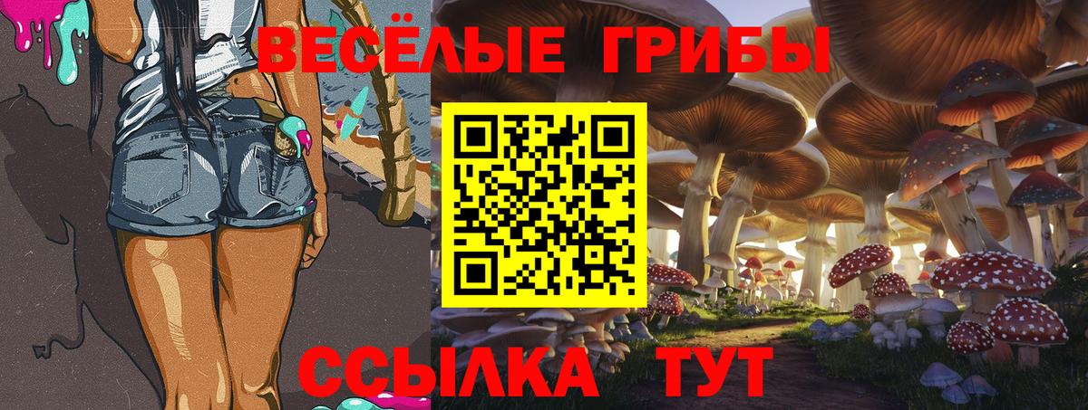 Галлюциногенные грибы GOLDEN TEACHER  Галлюциногенные грибы мицелий  Вход с VPN  Славянск-на-Кубани 