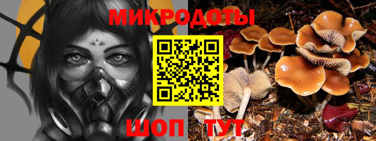 Псилоцибиновые грибы мухоморы Славянск-на-Кубани